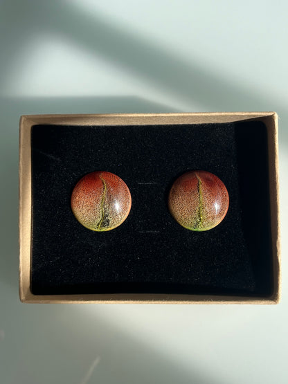 Pendientes REDONDOS